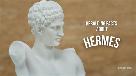 hermes information|interesting facts about hermes.